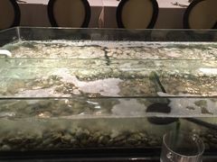 -星伦多自助料理(华润万象城店)