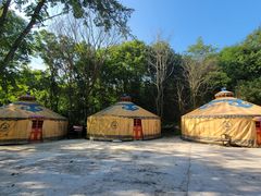 -青峰峡国家森林公园