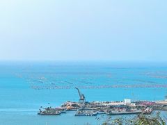 -南澳岛打卡果汁冰公司