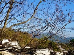 -塔川景区