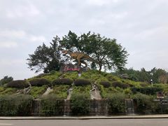 -自贡恐龙博物馆