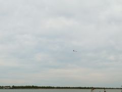 -呼兰河口湿地公园