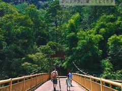 -赤水丹霞旅游区·大瀑布