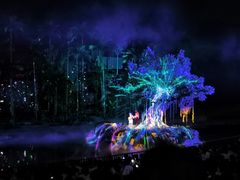 -三亚红色娘子军演艺公园景区