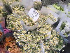 -循礼门鲜花花市(武汉循礼门店)