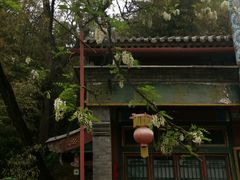 -颐和园