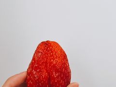 -海底捞火锅(江宸天街店)