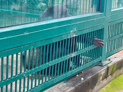 -秦皇岛野生动物园