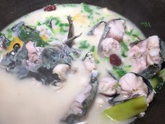 -鲜潭蒸汽石锅鱼(五道口购物中心店)