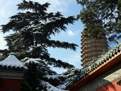 -八大处公园