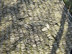-苏州上方山国家森林公园