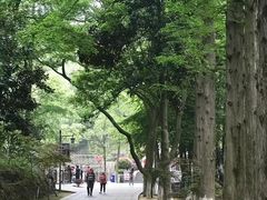 -敬亭山风景名胜区