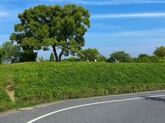 -良渚古城遗址公园