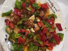 -煲来饱去冷水鱼