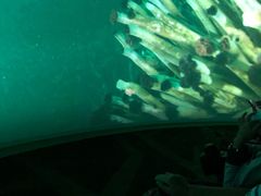 -珠海横琴国家地理探险家中心(创新方)