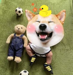 -热靴映画儿童摄影工作室(绍兴水街壹号文创园店)