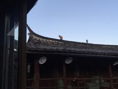 -田德能咖啡博物馆