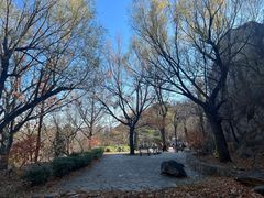 -北京鹫峰国家森林公园