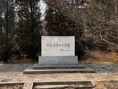 -白水寺森林公园