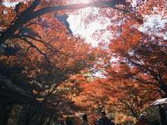 -三千院