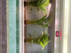 -上海外滩悦榕庄酒店