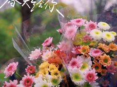 -静安雕塑公园
