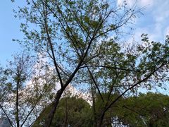 -后襄河公园