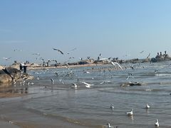 -老虎石海上公园