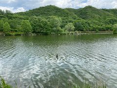 -玉渡山自然风景区