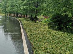 -沐仙湖湿地公园