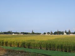 -菊园百果园