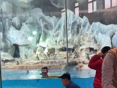 -帝企鹅自助餐厅•儿童岛•真企鹅(长隆企鹅酒店)