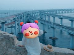 -星海湾跨海大桥
