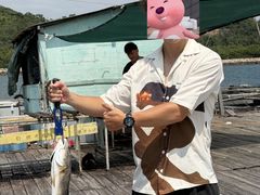 -南丫岛