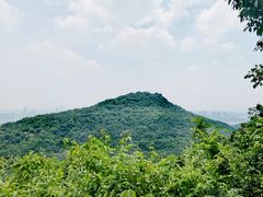 -九曜山