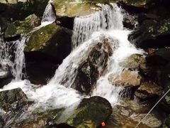 -藏龙百瀑风景区