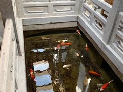 -鲤院·新中式美学·庭院餐厅(夫子庙店)