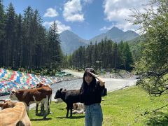 -硗碛藏寨·神木垒景区