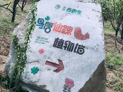 -天源吉布世温泉水乐园