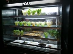 -加餐海鲜自助(集美银泰百货店)