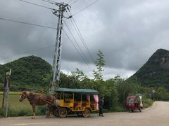 -夏雨路轩特色餐厅·十年经营