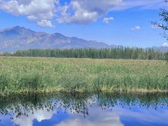 -野鸭湖国家湿地公园