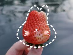 -思念果岭悦温泉