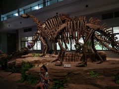 -自贡恐龙博物馆