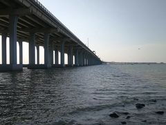 -宝安西湾红树林湿地公园