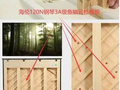 -秦川乐器(河西店)