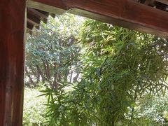 -不倒翁·徽天下名菜楼(马鞍山路店)