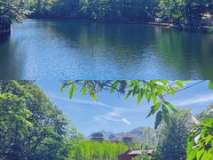 -洛阳白云山景区