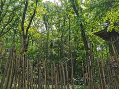 -WeLope紫金山探险公园