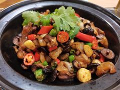 -鸡毛店·川菜(双楠店)